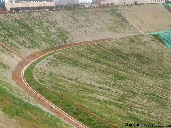 鐵路路基護坡綠化工程應(yīng)用 鐵路路基護坡綠化工程應(yīng)用