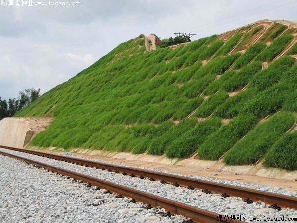 鐵路路基護坡綠化工程應(yīng)用 鐵路路基護坡綠化工程應(yīng)用