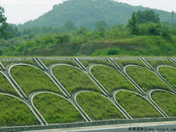 鐵路路基護坡綠化工程應(yīng)用 鐵路路基護坡綠化工程應(yīng)用