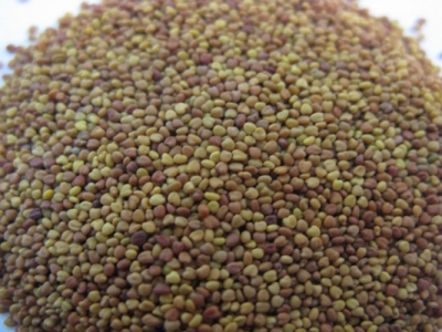 每畝用多少斤白三葉草種子？